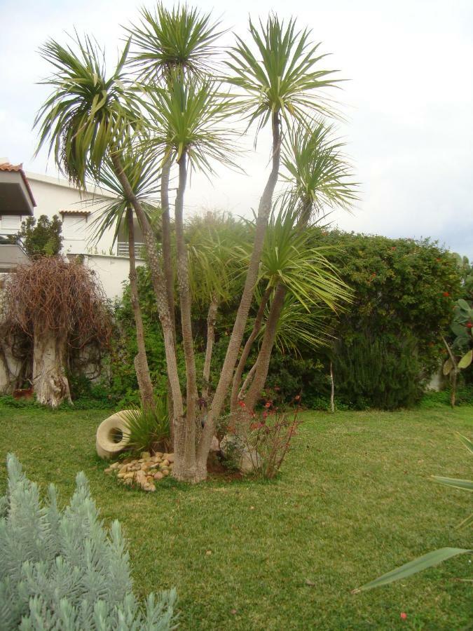 Appartement La Casa A Mare à Artemi Extérieur photo